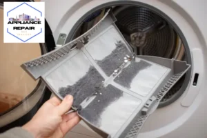 dirt trapped in dryer