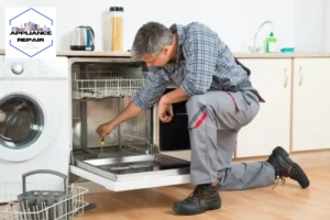 Repairman Repairing Dishwasher