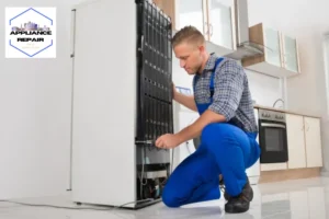 Worker Repairing Refrigerator